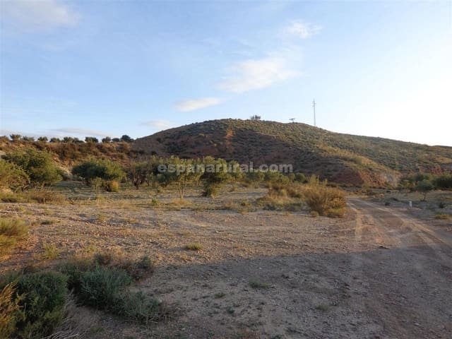 Undeveloped Land for sale in Purchena - € 99,950 (Ref: 4892461)