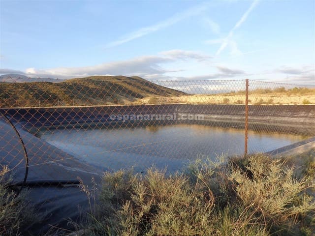 Undeveloped Land for sale in Purchena - € 99,950 (Ref: 4892461)