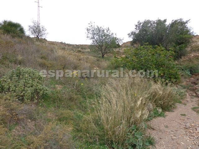 Finca/Casa Rural en Albox en venta - 40.000 € (Ref: 5001696)