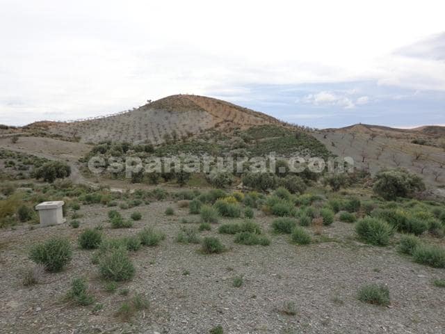 Finca/Casa Rural en Albox en venta - 40.000 € (Ref: 5001696)