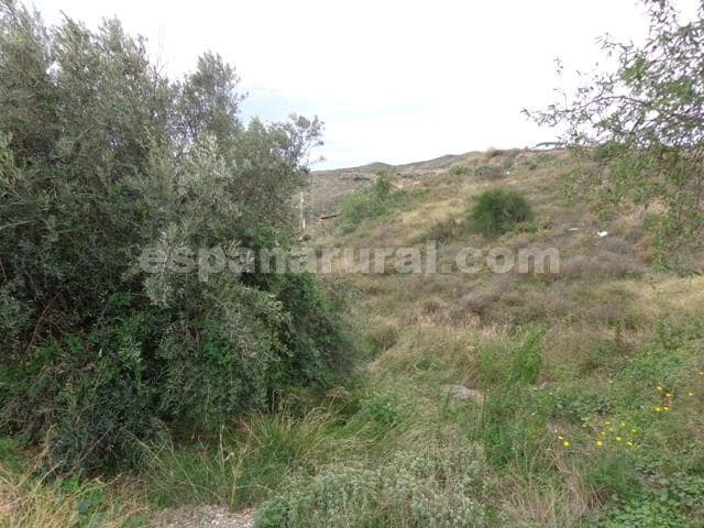 Finca/Casa Rural en Albox en venta - 40.000 € (Ref: 5001696)