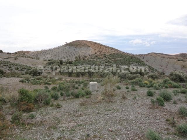 Finca/Casa Rural en Albox en venta - 40.000 € (Ref: 5001696)