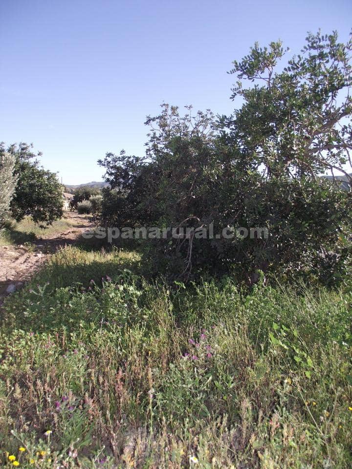 4 soveværelse Finca/Landehus til salg i Arboleas - € 69.950 (Ref: 5132779)