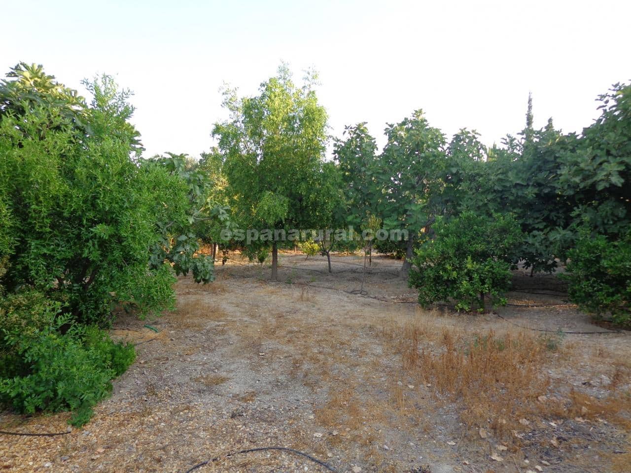 3 soveværelse Villa til salg i Huercal-Overa med swimmingpool - € 278.950 (Ref: 5469784)