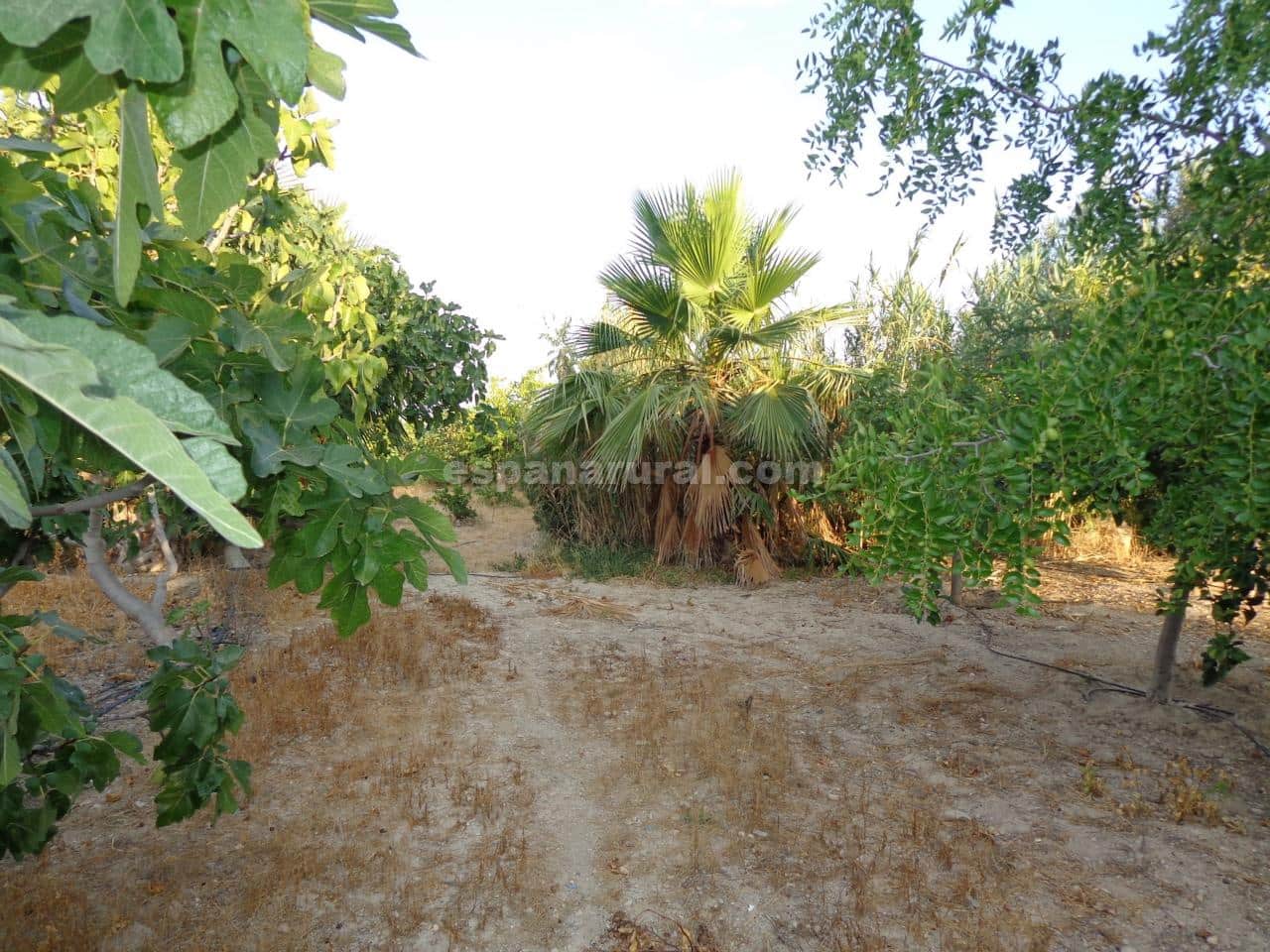 3 soveværelse Villa til salg i Huercal-Overa med swimmingpool - € 278.950 (Ref: 5469784)