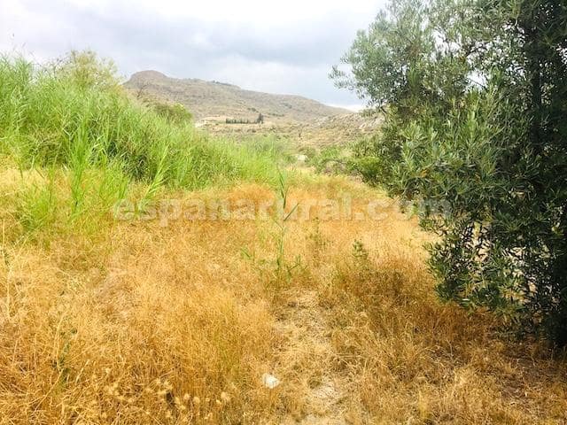 3 bedroom Finca/Country House for sale in Lucar - € 79,000 (Ref: 5532263)