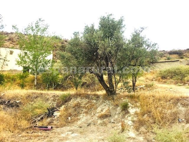 3 bedroom Finca/Country House for sale in Lucar - € 79,000 (Ref: 5532263)