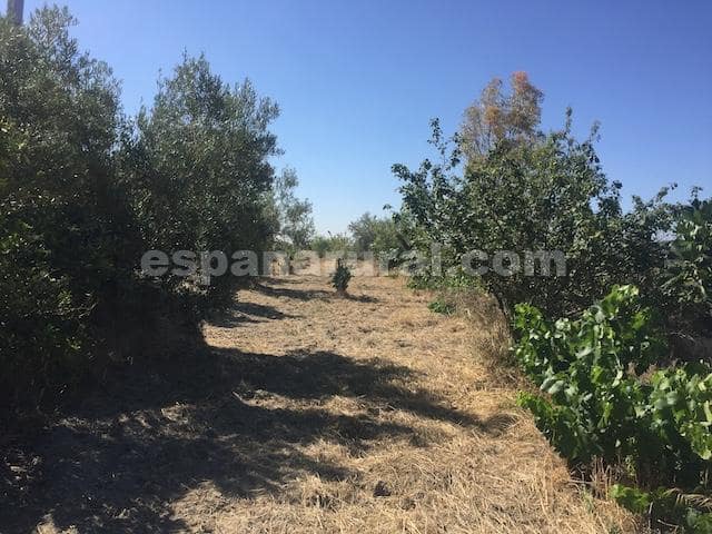 2 chambre Finca/Maison de Campagne à vendre à Oria - 106 000 € (Ref: 5662139)