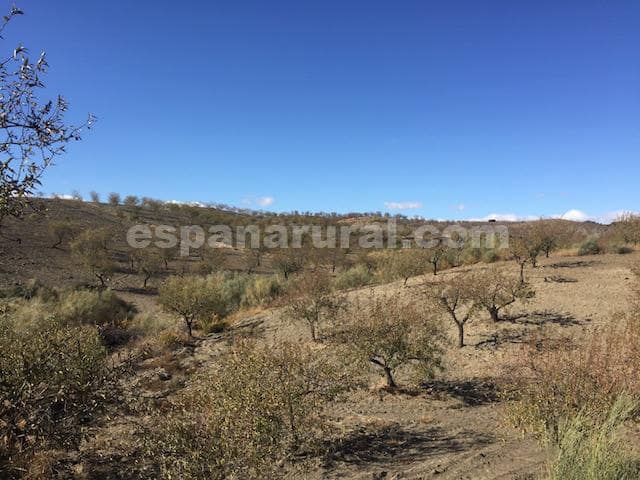 3 slaapkamer Villa te koop in Oria - € 155.000 (Ref: 5698881)