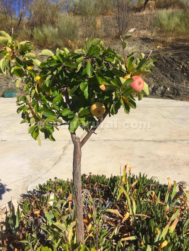 3 slaapkamer Villa te koop in Oria - € 155.000 (Ref: 5698881)