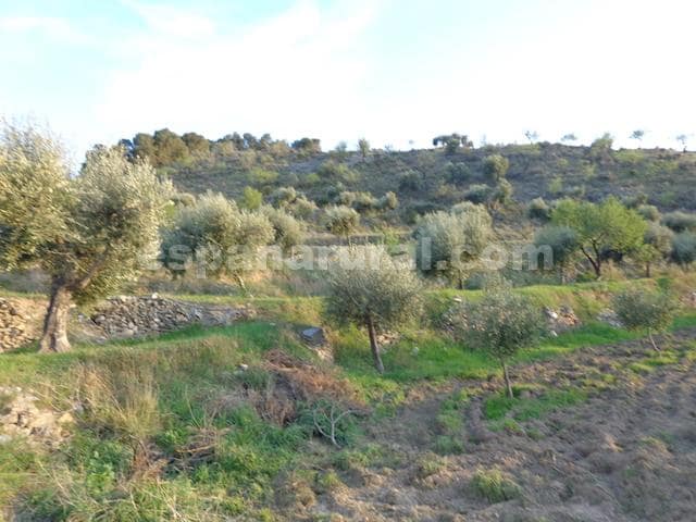 3 soveværelse Finca/Landehus til salg i Sufli - € 119.999 (Ref: 5963944)