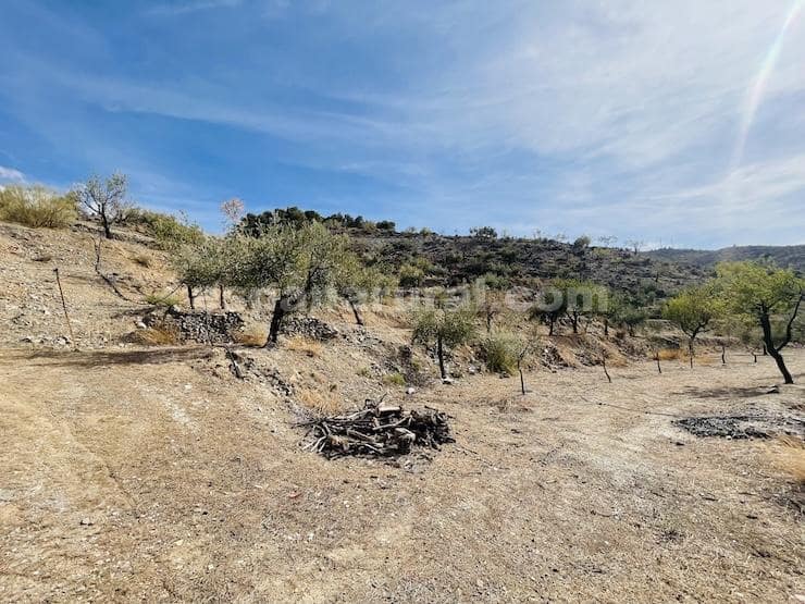 3 soveværelse Finca/Landehus til salg i Sufli - € 119.999 (Ref: 5963944)