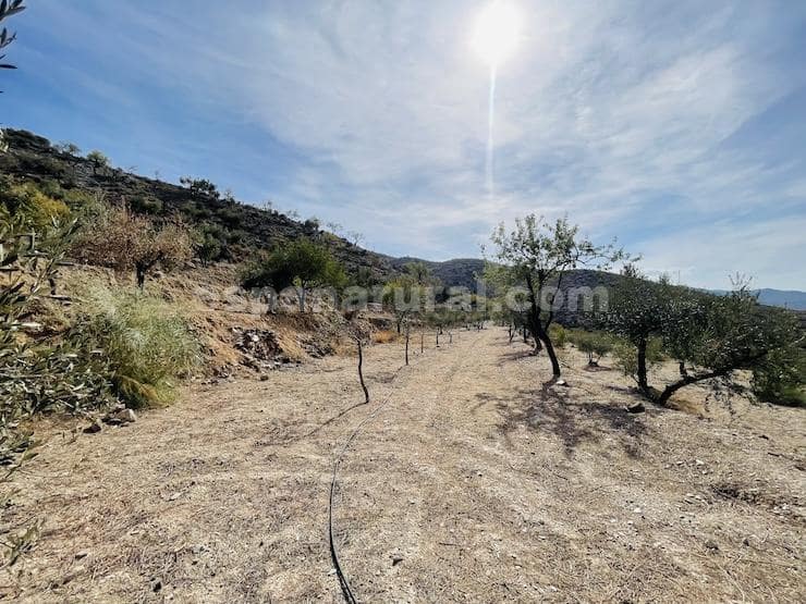 3 soveværelse Finca/Landehus til salg i Sufli - € 119.999 (Ref: 5963944)