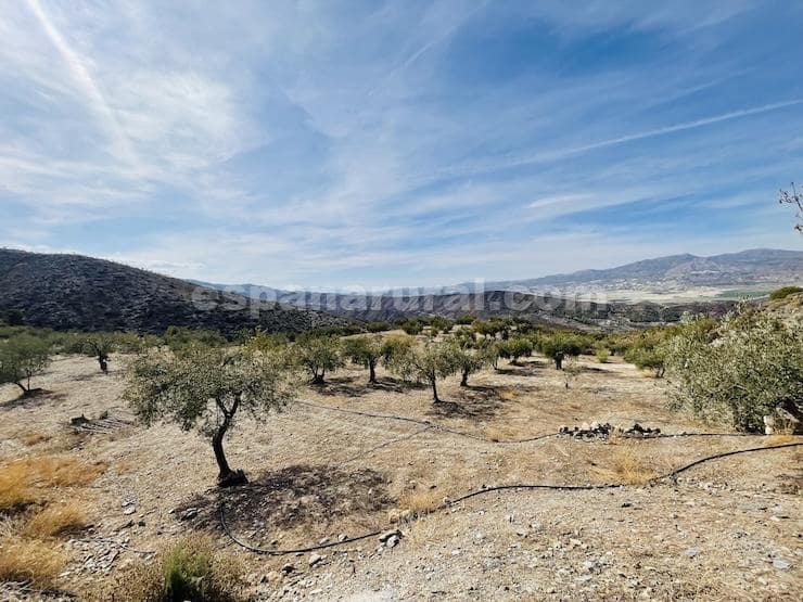 3 soveværelse Finca/Landehus til salg i Sufli - € 119.999 (Ref: 5963944)