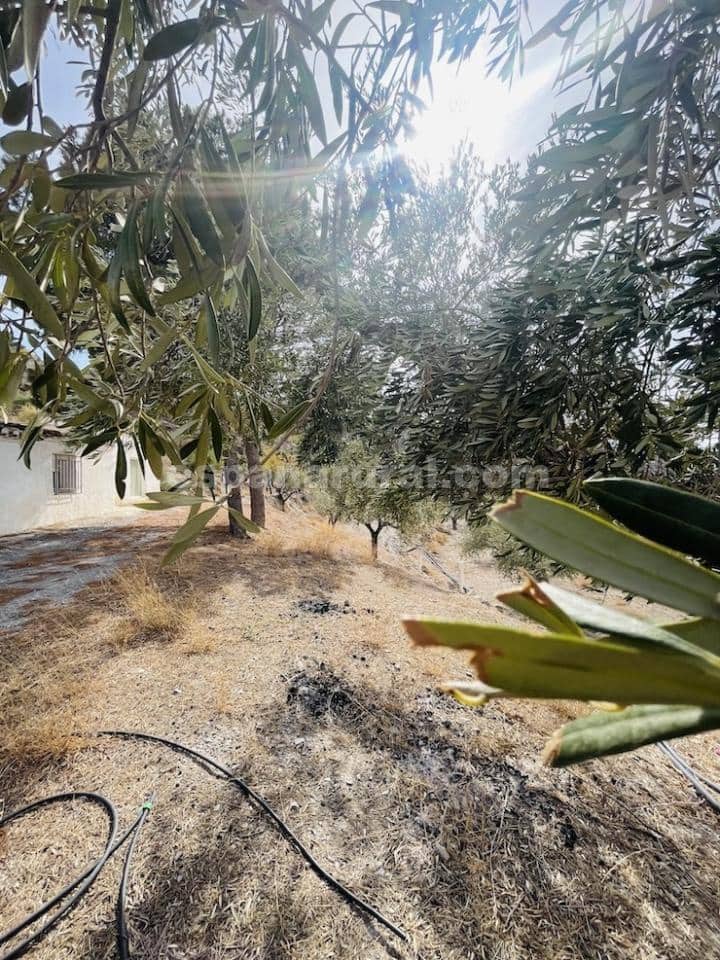 3 soveværelse Finca/Landehus til salg i Sufli - € 119.999 (Ref: 5963944)