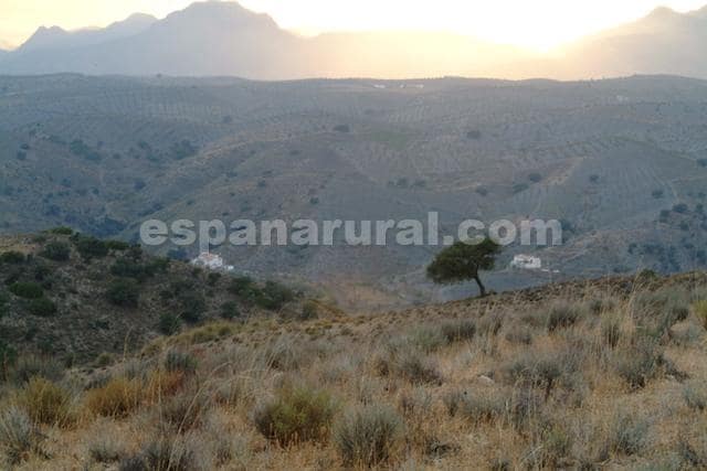 8 soveværelse Virksomhed til salg i Taberno med swimmingpool - € 450.000 (Ref: 7567812)