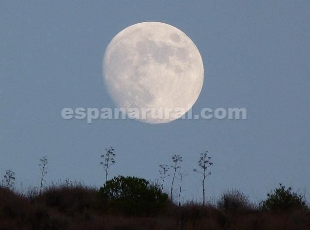 8 soveværelse Virksomhed til salg i Taberno med swimmingpool - € 450.000 (Ref: 7567812)