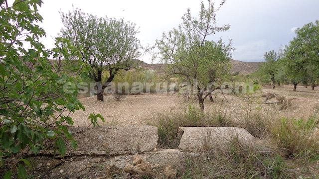 Finca/Casa Rural de 3 habitaciones en Albox en venta - 105.000 € (Ref: 7616490)