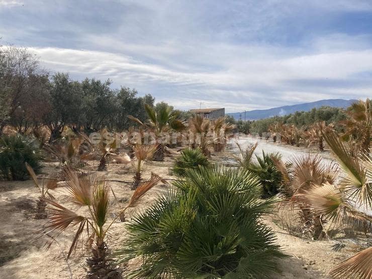 4 sovrum Finca/Hus på landet till salu i Baza med pool - 450 000 € (Ref: 7890180)