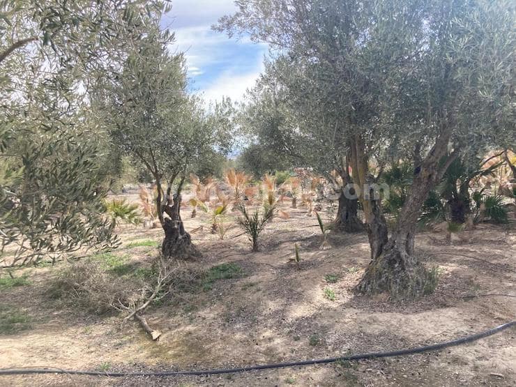 4 sovrum Finca/Hus på landet till salu i Baza med pool - 450 000 € (Ref: 7890180)