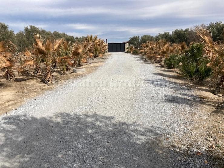 4 sovrum Finca/Hus på landet till salu i Baza med pool - 450 000 € (Ref: 7890180)