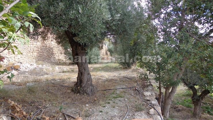 3 camera da letto Finca/Casa di Campagna in vendita in Oria - 75.000 € (Rif: 7911976)