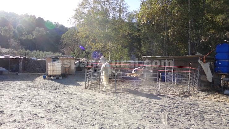 3 sypialnia Finka/Dom wiejski na sprzedaż w Purchena z basenem - 139 990 € (Ref: 8103005)