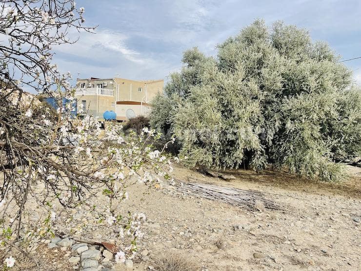 6 soverom Finca/Herregård til salgs i Arboleas - € 280 000 (Ref: 8119256)