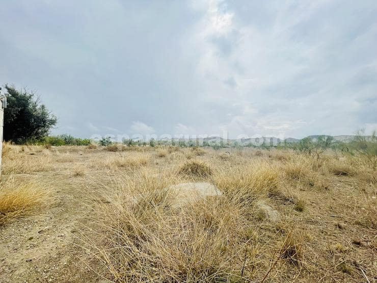 4 chambre Finca/Maison de Campagne à vendre à Lucar - 219 950 € (Ref: 8186977)