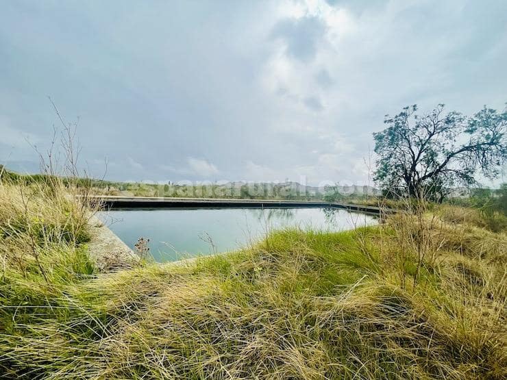 4 chambre Finca/Maison de Campagne à vendre à Lucar - 219 950 € (Ref: 8186977)