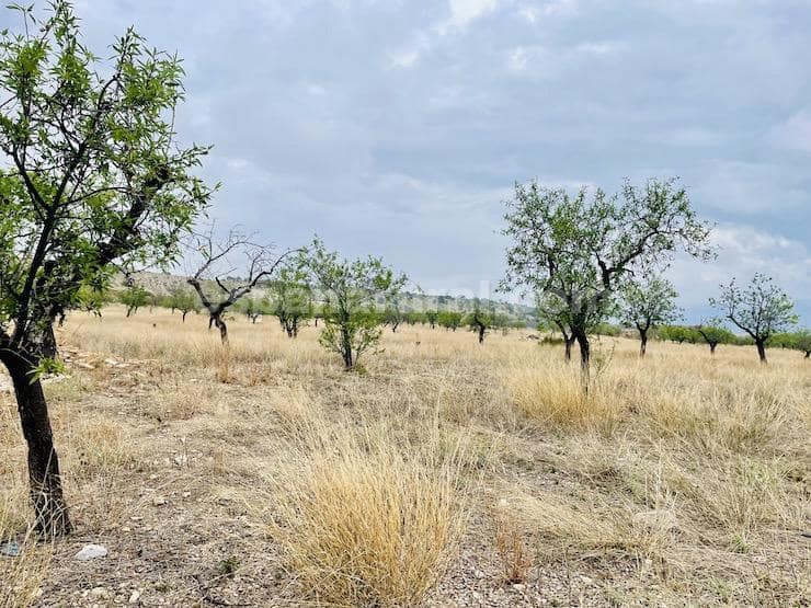 4 chambre Finca/Maison de Campagne à vendre à Lucar - 219 950 € (Ref: 8186977)