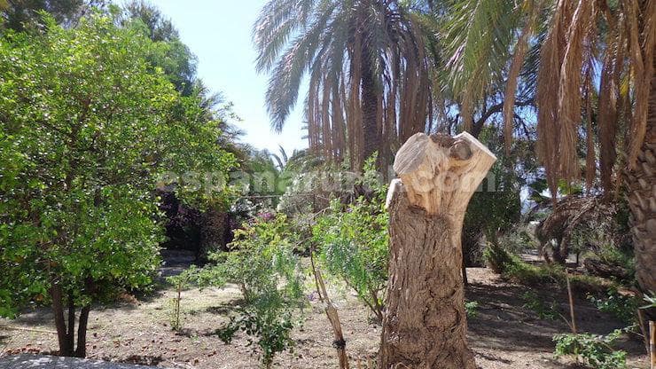 5 bedroom Finca/Country House for sale in Partaloa - € 599,000 (Ref: 8411181)