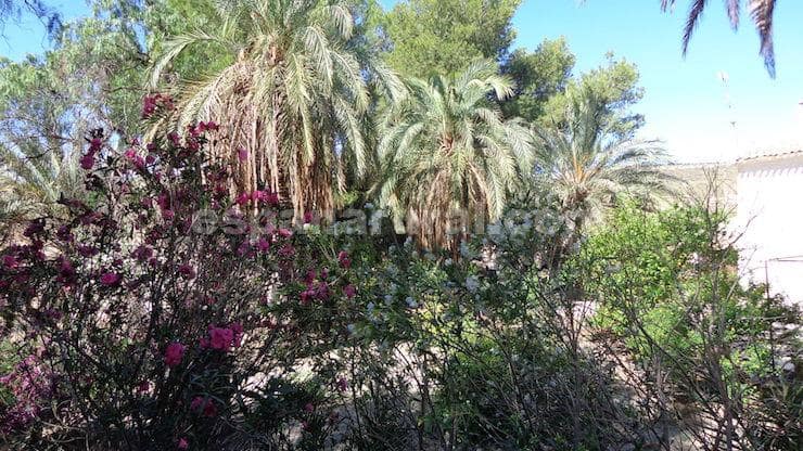 5 bedroom Finca/Country House for sale in Partaloa - € 599,000 (Ref: 8411181)