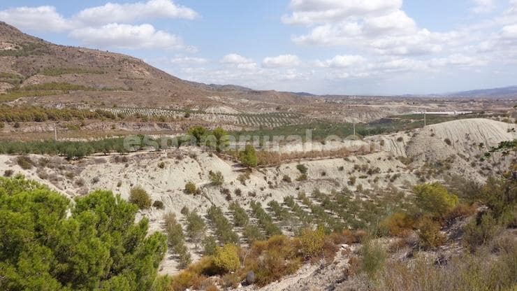 3 soveværelse Finca/Landehus til salg i Urracal - € 149.950 (Ref: 8541814)