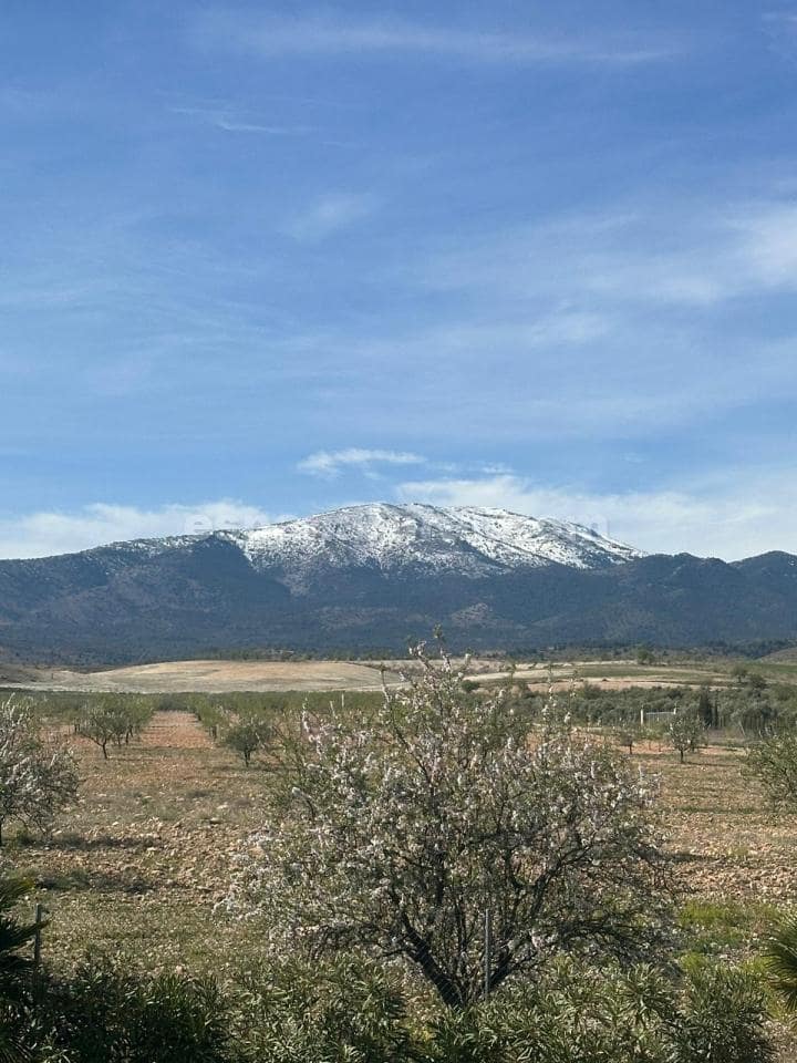 5 soveværelse Villa til salg i Caniles med swimmingpool - € 874.950 (Ref: 8599001)