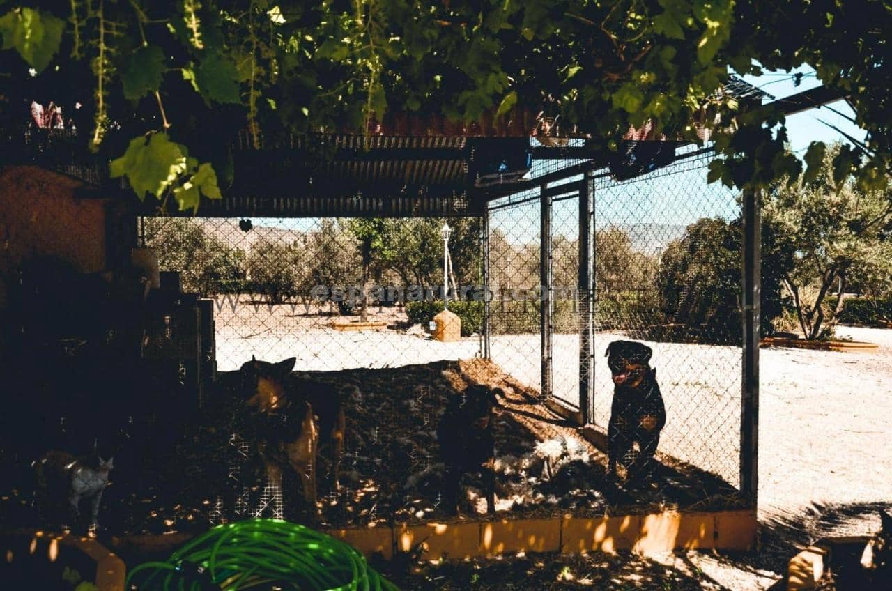 5 soveværelse Villa til salg i Caniles med swimmingpool - € 874.950 (Ref: 8599001)