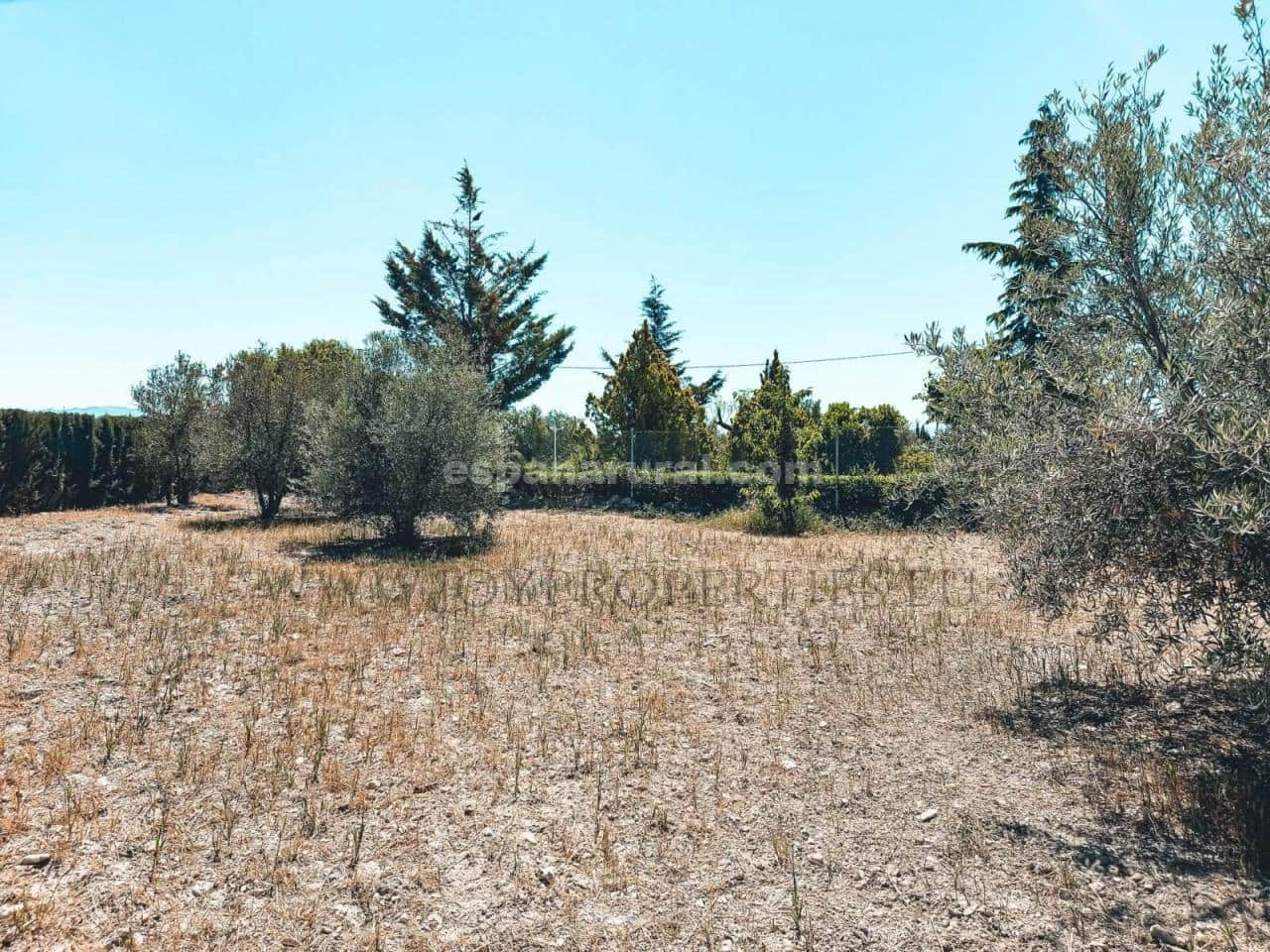 5 soveværelse Villa til salg i Caniles med swimmingpool - € 874.950 (Ref: 8599001)