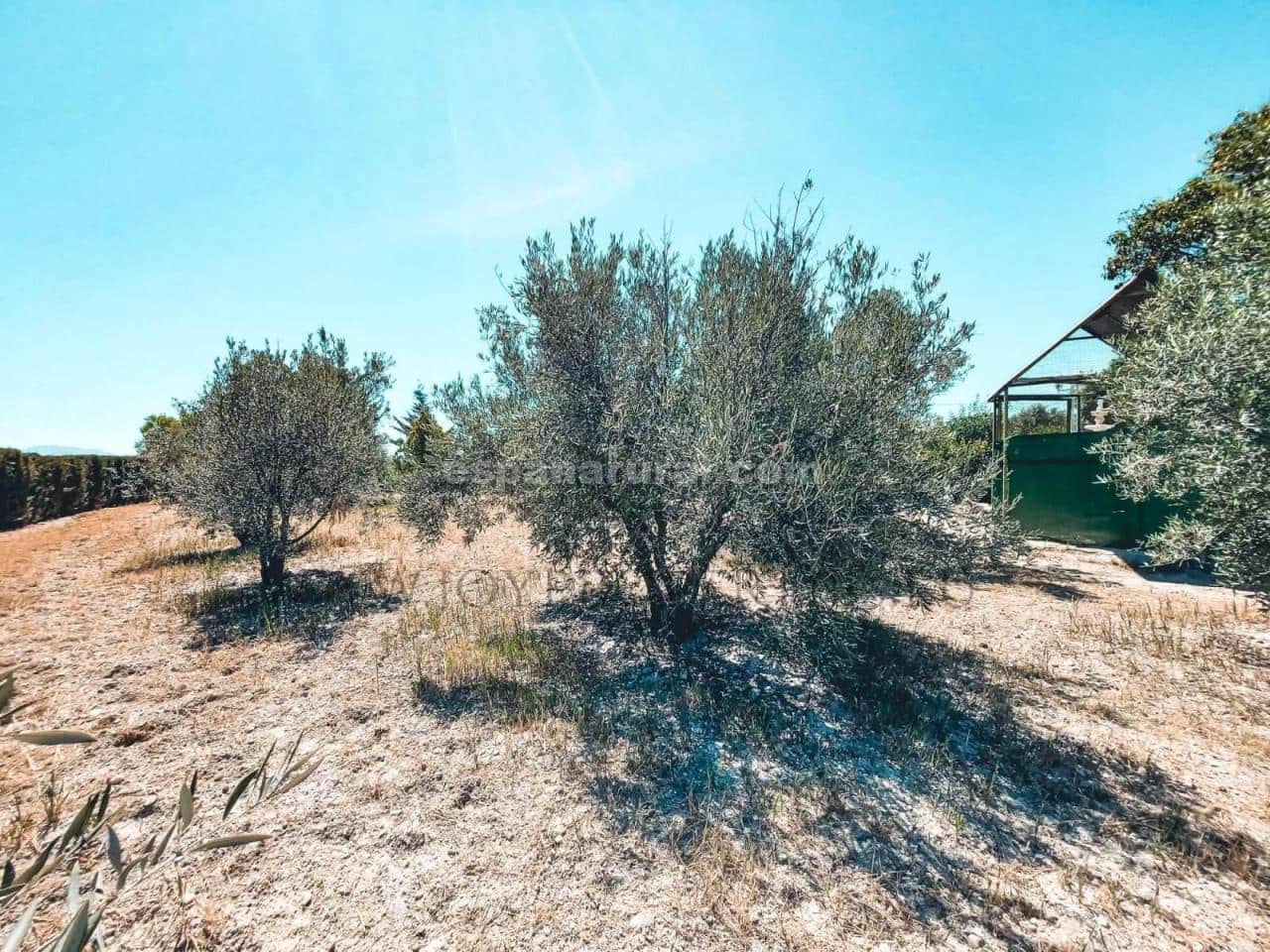 5 soveværelse Villa til salg i Caniles med swimmingpool - € 874.950 (Ref: 8599001)