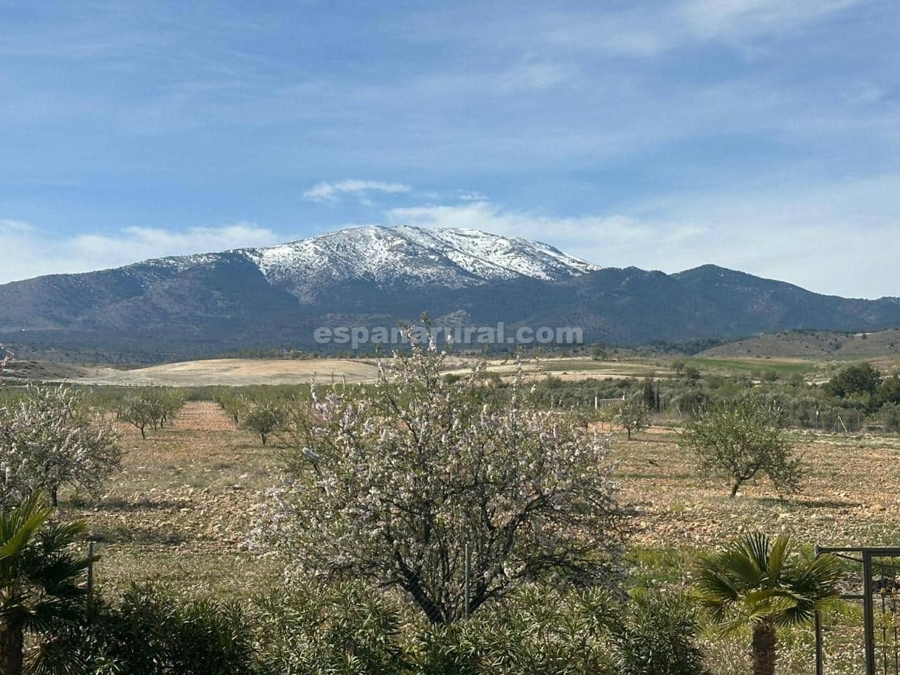 5 soveværelse Villa til salg i Caniles med swimmingpool - € 874.950 (Ref: 8599001)