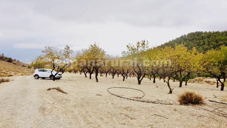 3 slaapkamer Finca/Landhuis te koop in Lucar - € 110.000 (Ref: 8603292)