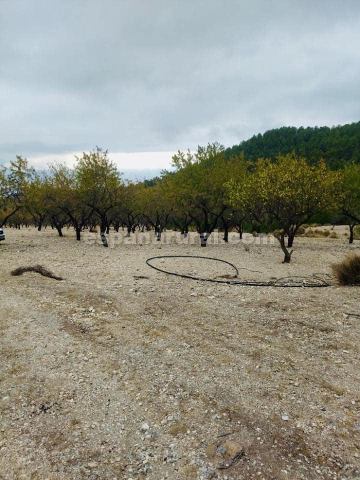 3 slaapkamer Finca/Landhuis te koop in Lucar - € 110.000 (Ref: 8603292)