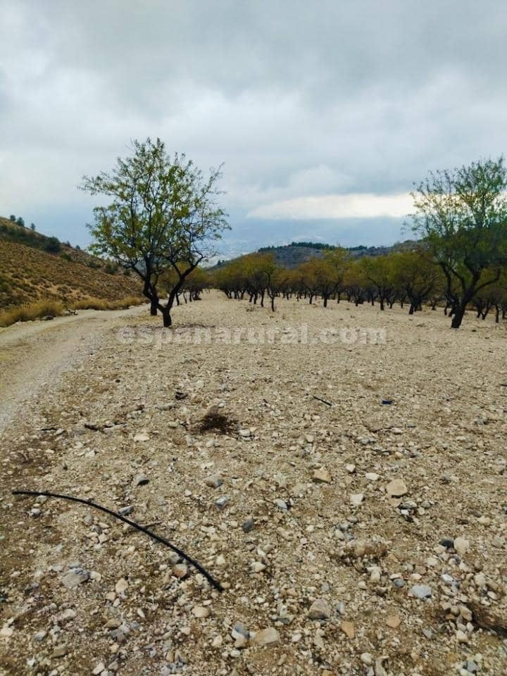 3 slaapkamer Finca/Landhuis te koop in Lucar - € 110.000 (Ref: 8603292)