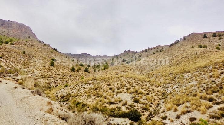 3 slaapkamer Finca/Landhuis te koop in Lucar - € 110.000 (Ref: 8603292)