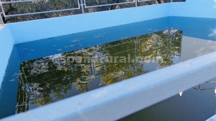 1 soveværelse Villa til salg i Baza - € 128.000 (Ref: 8809088)