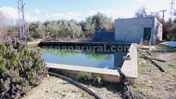 4 soveværelse Finca/Landehus til salg i Baza - € 159.000 (Ref: 8824473)