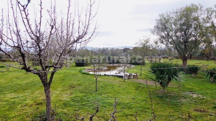 4 soveværelse Villa til salg i Baza med swimmingpool - € 178.000 (Ref: 8887409)