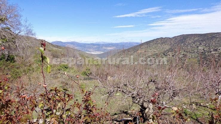 9 soveværelse Finca/Landehus til salg i Sierro - € 210.000 (Ref: 8892028)