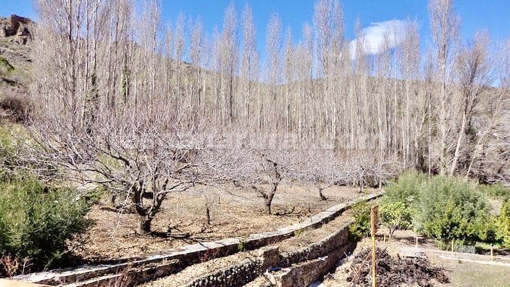 9 soveværelse Finca/Landehus til salg i Sierro - € 210.000 (Ref: 8892028)