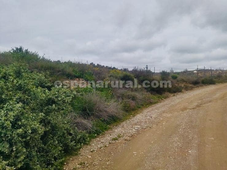 3 slaapkamer Finca/Landhuis te koop in Albox - € 55.000 (Ref: 8969758)