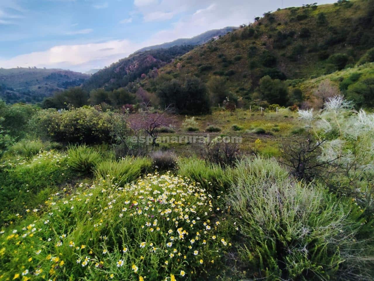 2 soveværelse Finca/Landehus til salg i Chercos - € 86.000 (Ref: 9000786)